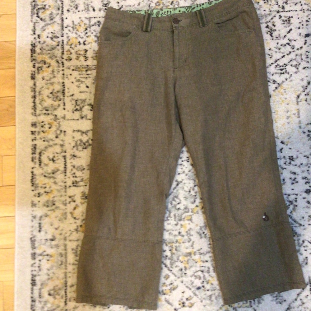 Isis capri